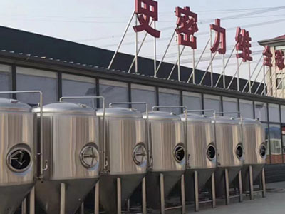 靖安精酿啤酒设备厂—如何判断精酿啤酒设备的密封件需要更换？